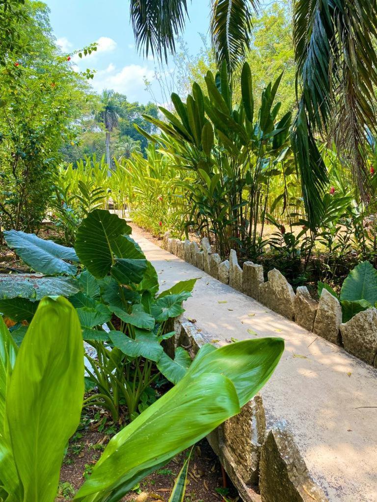 Hotel Maya Bell Palenque Bagian luar foto